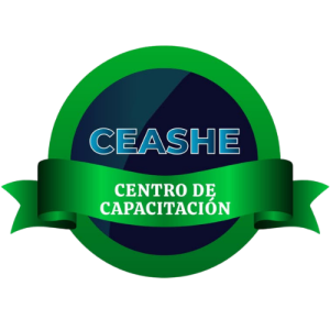 Ceashe Capacitaciones